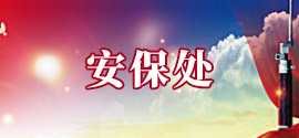 安保处