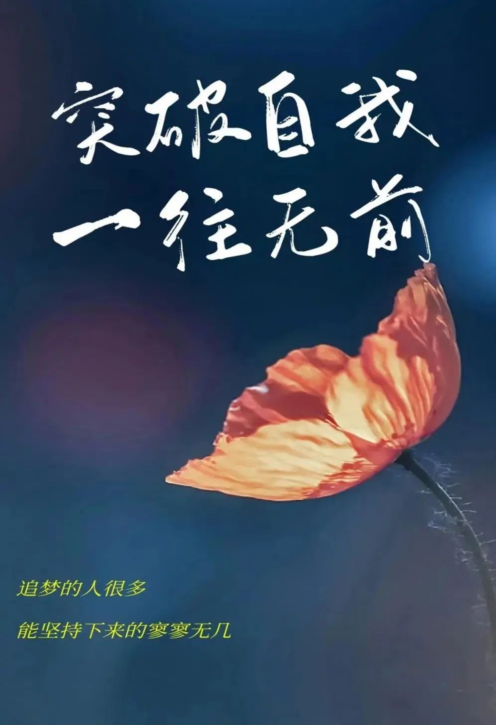 6d4d143c62f14987a2e54cf7159c8dde.jpg