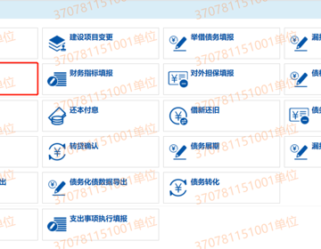 2024年资产信息、财务指标填报与审核、无债务申报操作说明